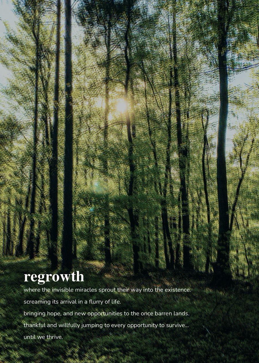 The Regrowth opener: sunlight through a bright green forest, with the act’s poem in white