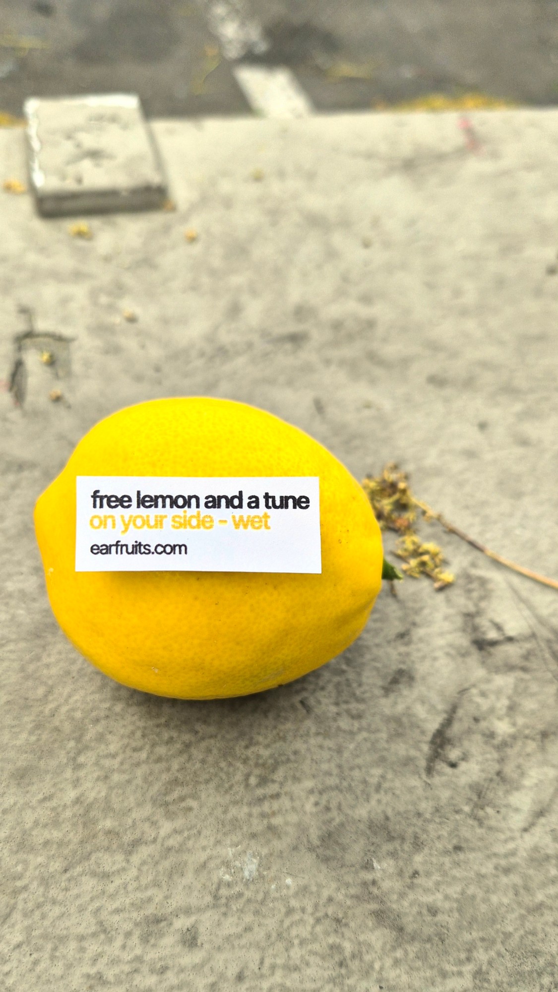 A lemon on a concrete step with a label reading “free lemon and a tune: on your side – wet, earfruits.com”