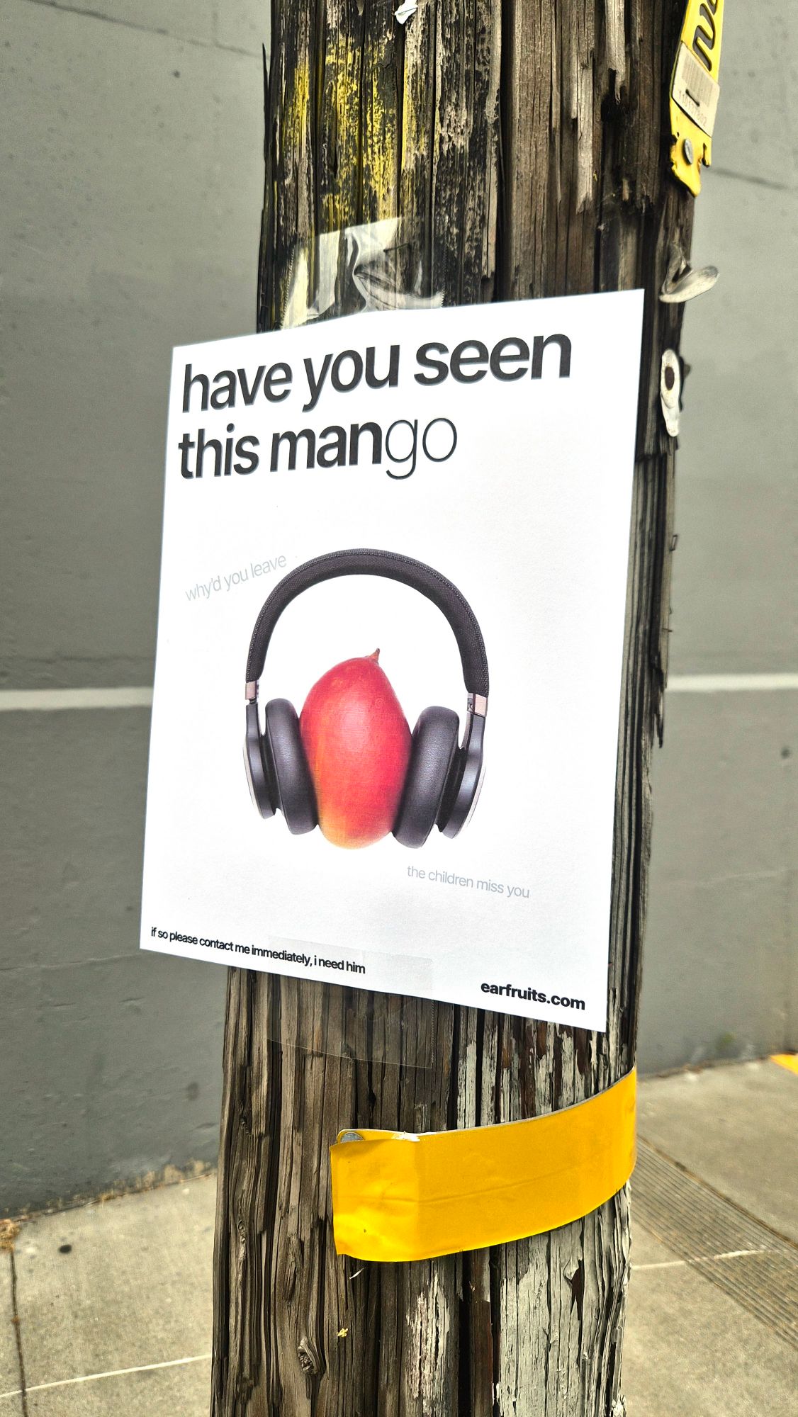 A “have you seen this mango” lost-pet style poster taped to a telephone pole, showing a mango wearing over-ear headphones, signed earfruits.com