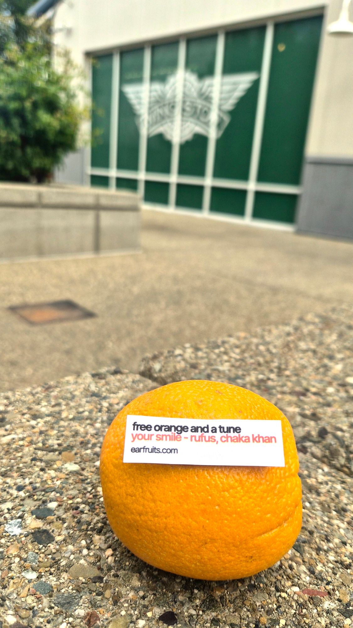 An orange on a stone ledge with a label reading “free orange and a tune: your smile – rufus, chaka khan, earfruits.com”