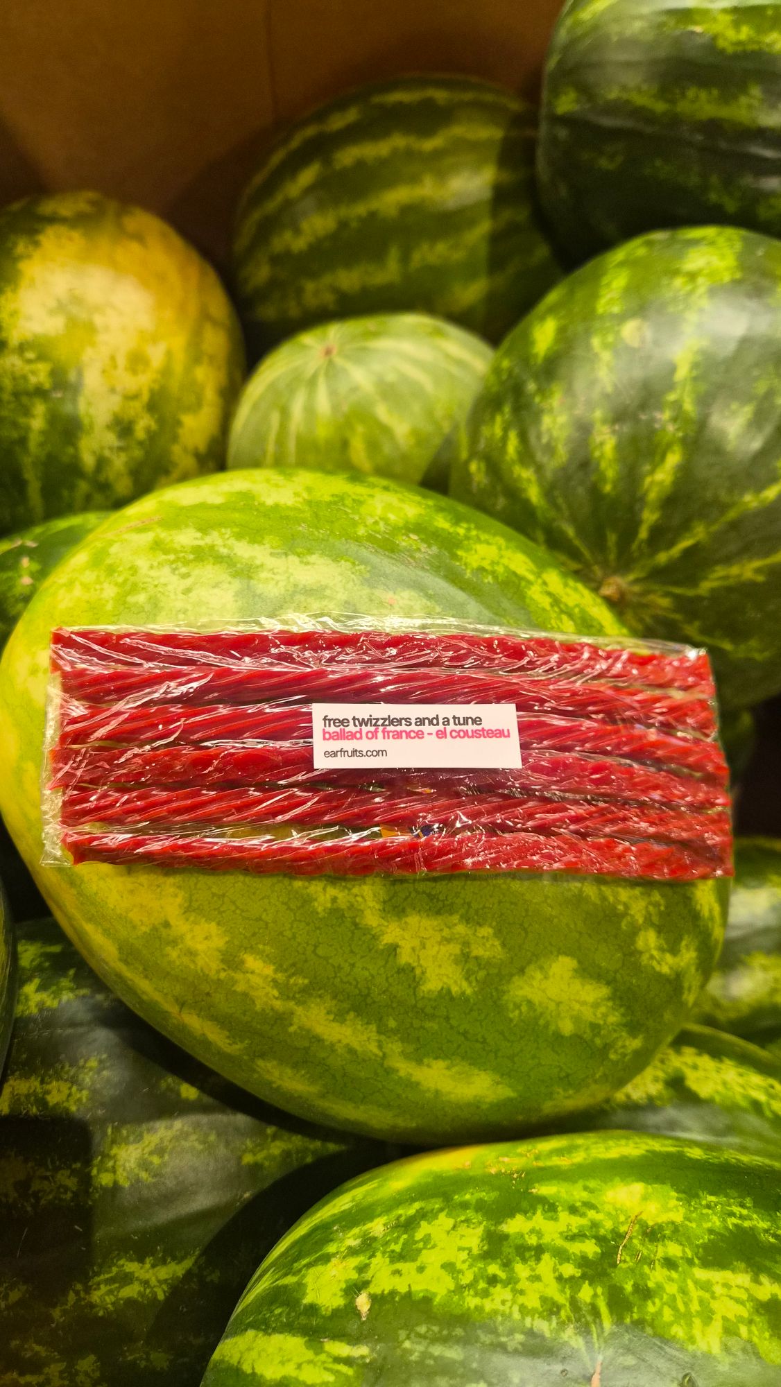A pack of Twizzlers on a pile of watermelons with a label reading “free twizzlers and a tune: ballad of france – el cousteau, earfruits.com”