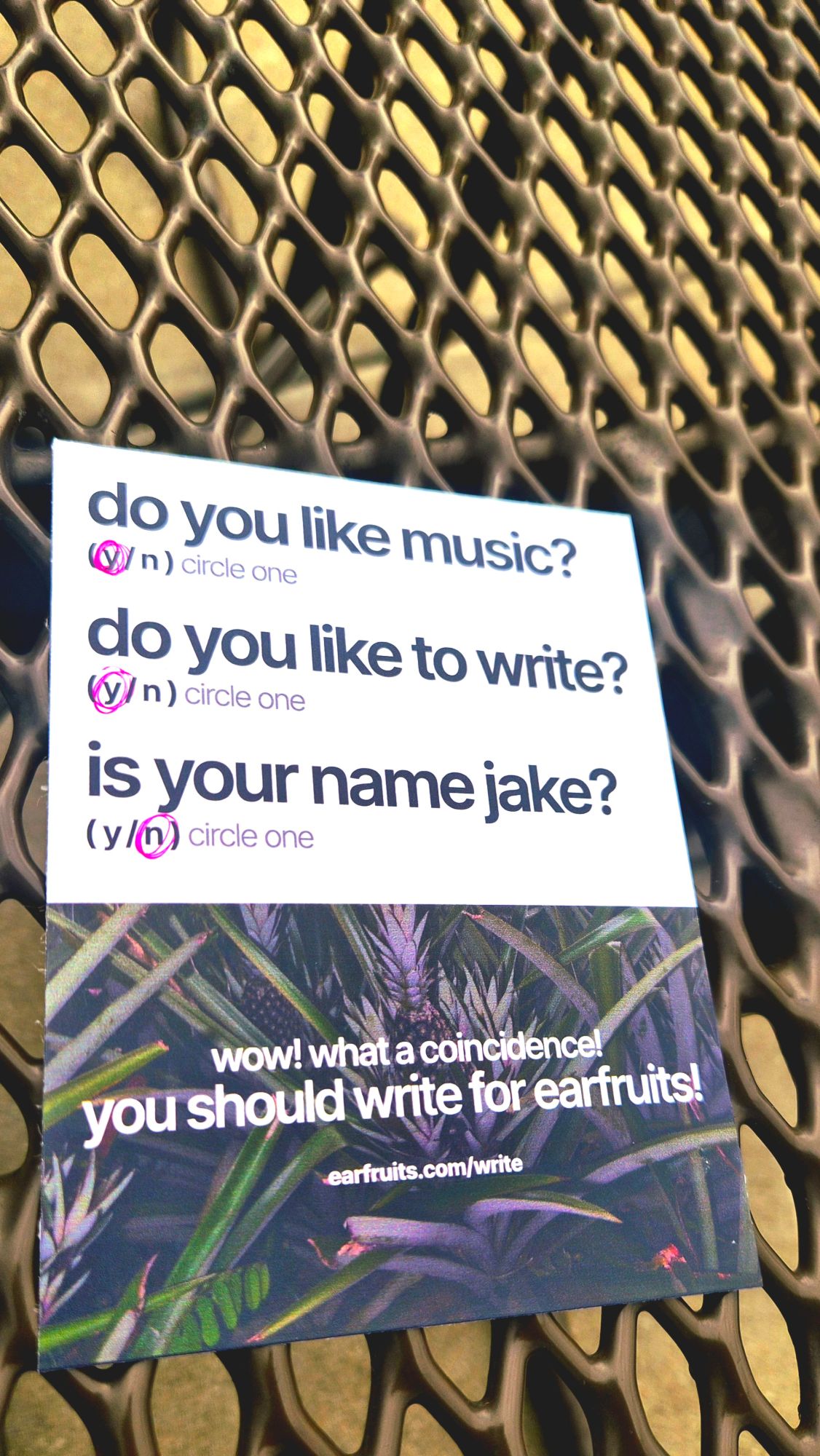 A flyer on a mesh bench asking “do you like music? do you like to write? is your name jake?” with answers circled, ending “you should write for earfruits!”