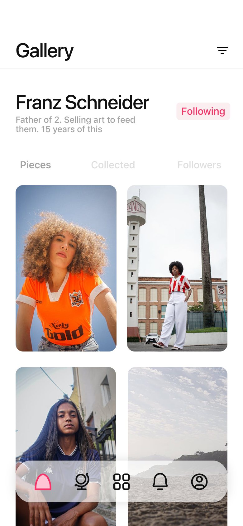 Artist profile for Franz Schneider with a pink Following badge and a grid of his photographs
